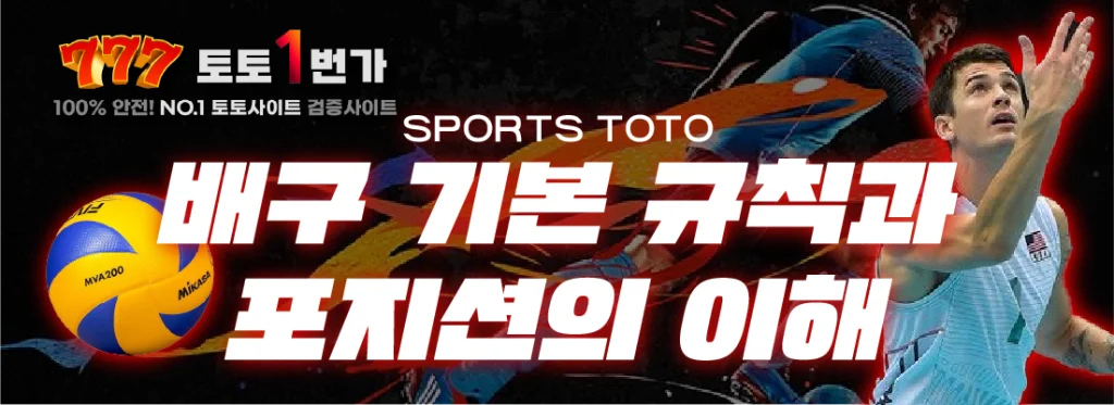 배구 기본 규칙과 포지션의 이해 안내 이미지